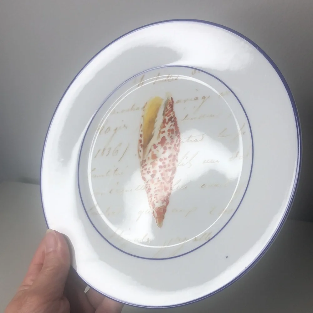 Williams Sonoma Set Seashell Salad Dessert Luncheon Plates